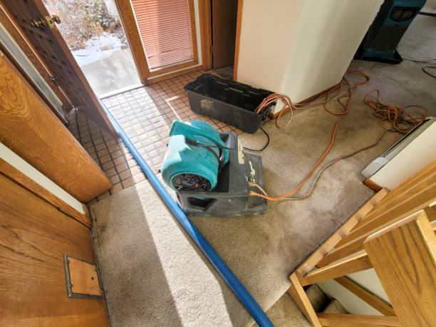 Best Emergency water damage restoration  in Reno, NV