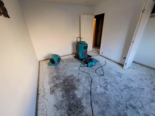  Reno, NV Water damage restoration Pros
