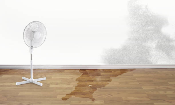 Local water damage restoration in Reno, NV
