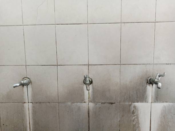 Best Flood restoration services  in Reno, NV