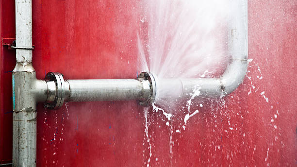Best Ceiling water damage repair  in Reno, NV